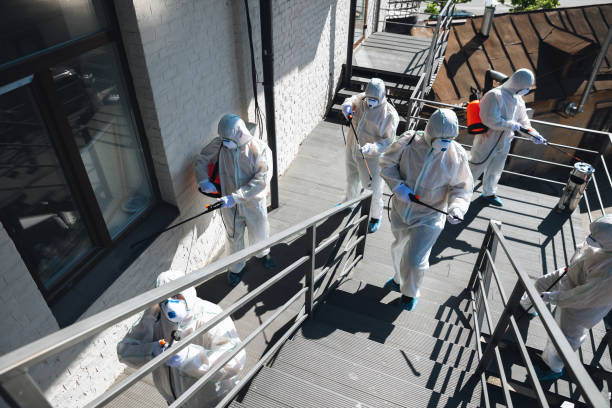 Best Asbestos and Lead Testing During Mold Inspection  in West Haven Sylvan, OR