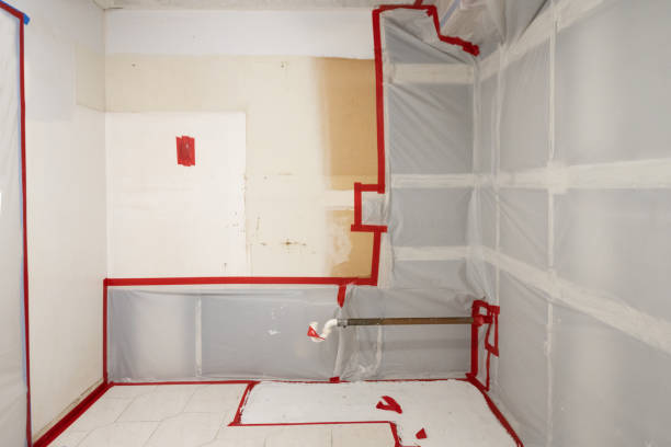 West Haven Sylvan, OR Mold Removal Company
