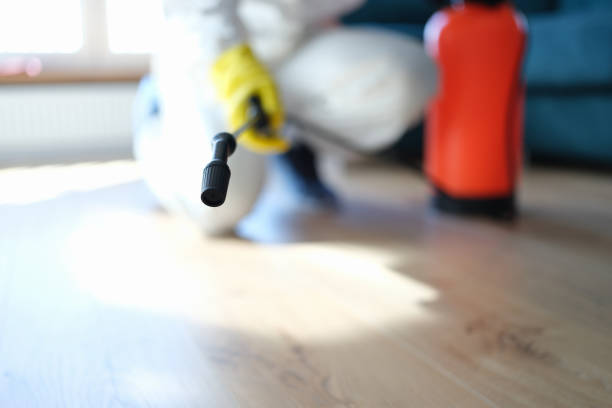 Best Black Mold Removal  in West Haven Sylvan, OR