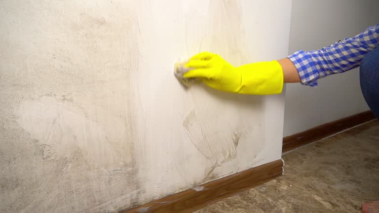 Best Mold Remediation for Healthcare Facilities  in West Haven Sylvan, OR
