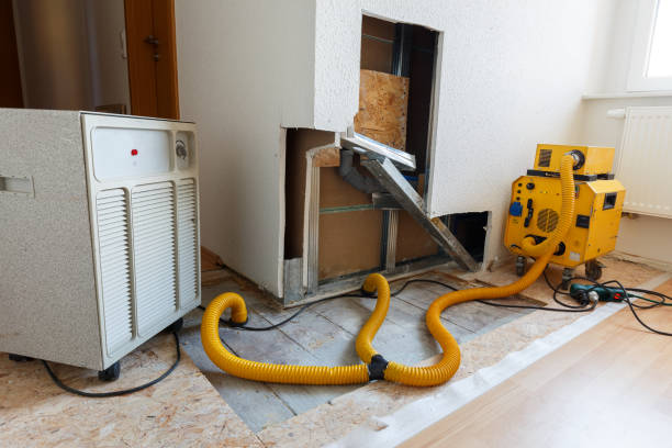 Forensic Mold Investigation in West Haven Sylvan, OR