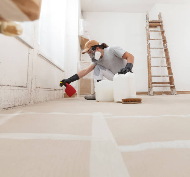 Mold Remediation for Rental Properties in West Haven Sylvan, OR